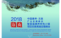 九游会文旅事业部经理人惊艳亮相2018中国康养·文旅产业发展峰会